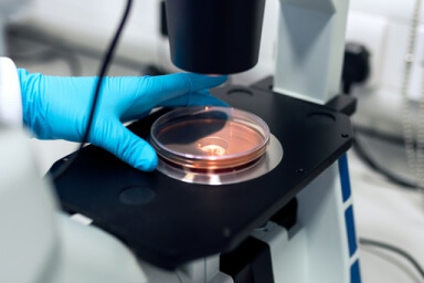 buy Ephedrine online diagnostic lab case gallery 4